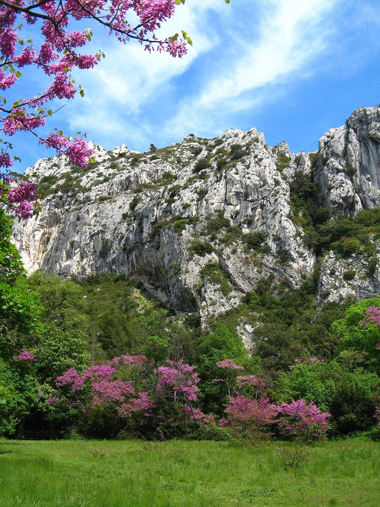 Parc Départemental de Saint Pons