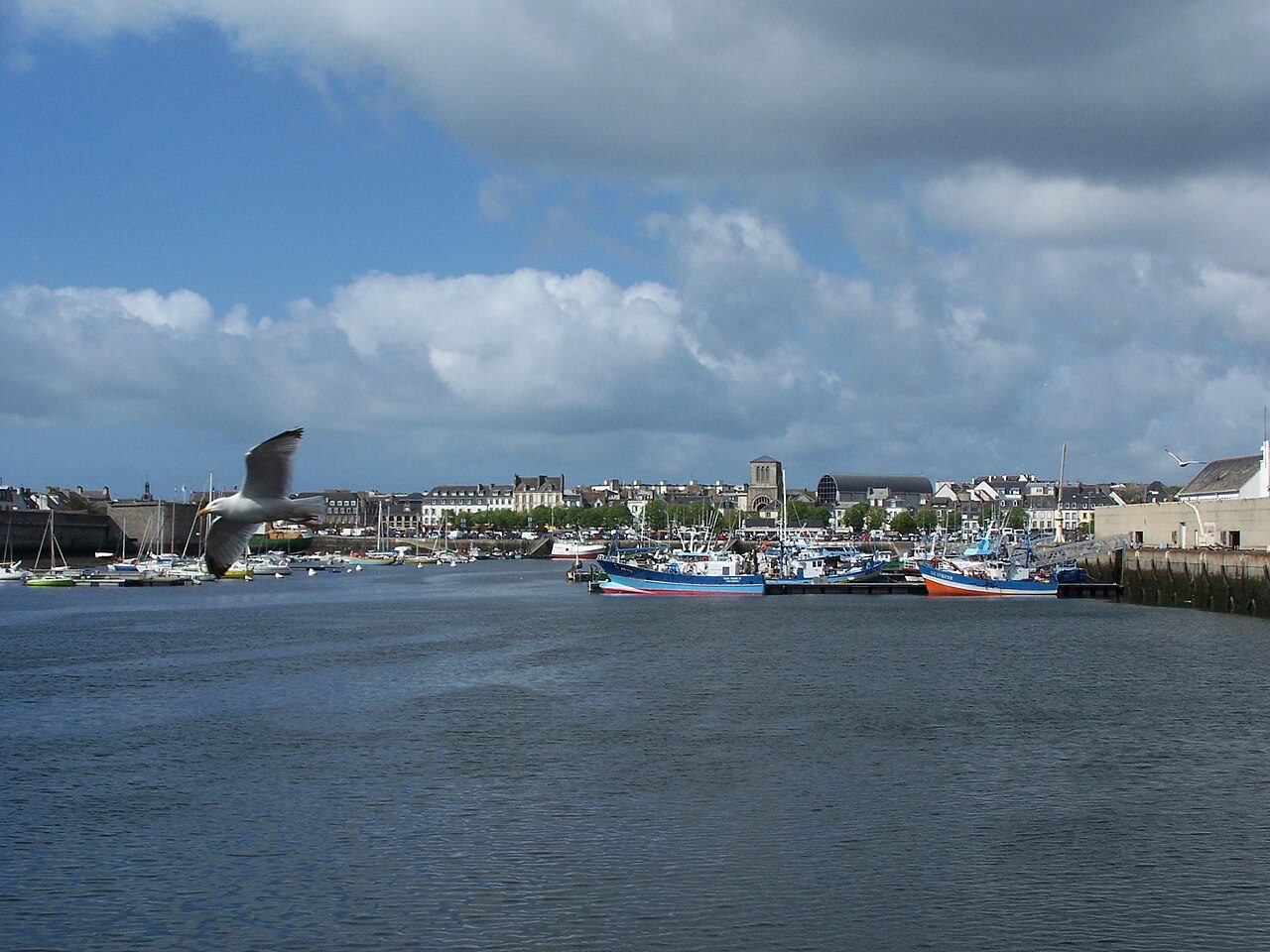Port de pêche de Concarneau à Concarneau