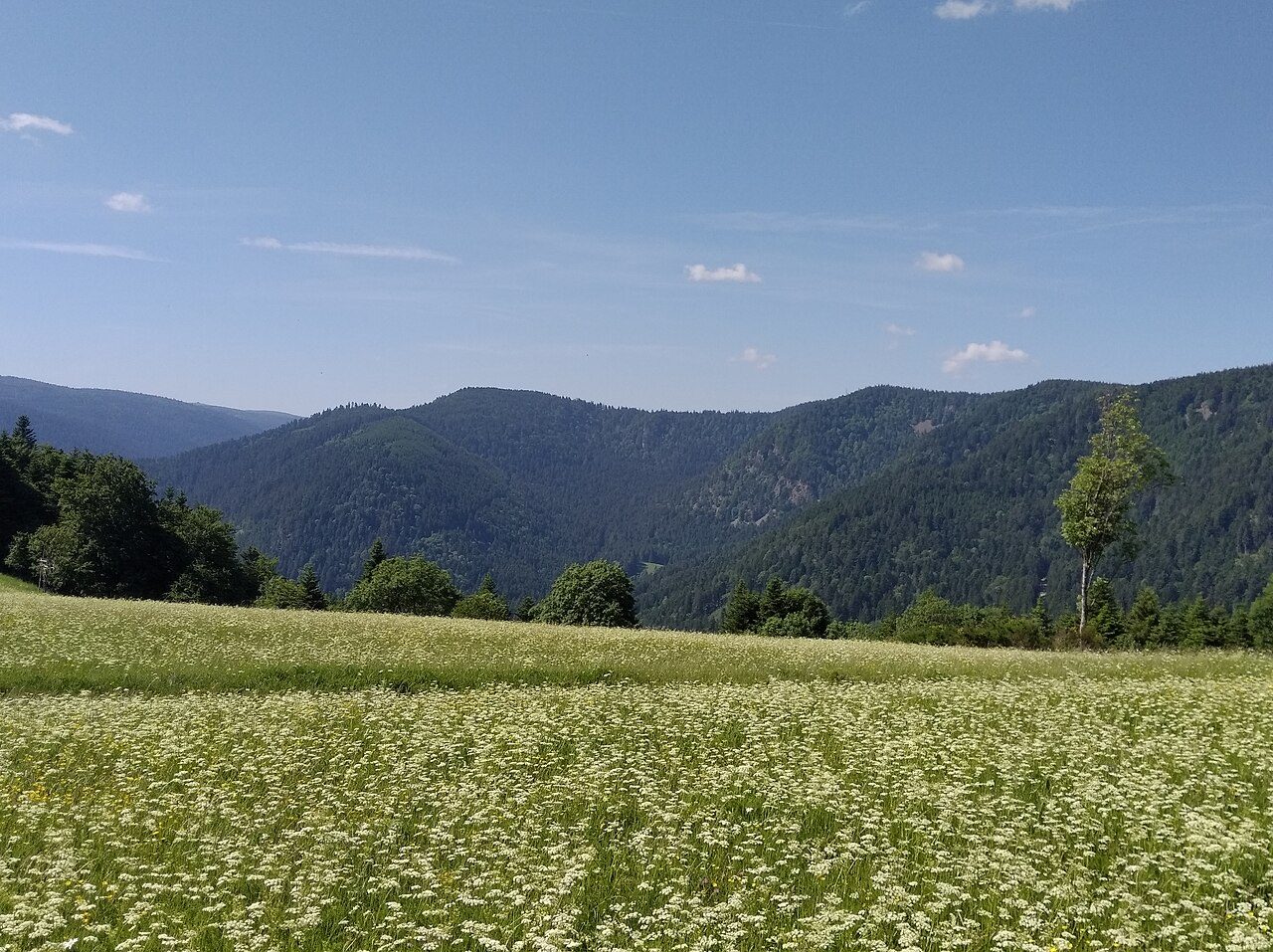 Faing du Souche à Plainfaing