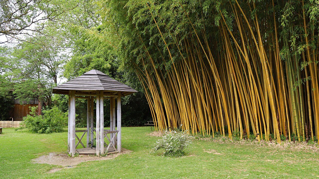 Le Parc aux Bambous à Lapenne