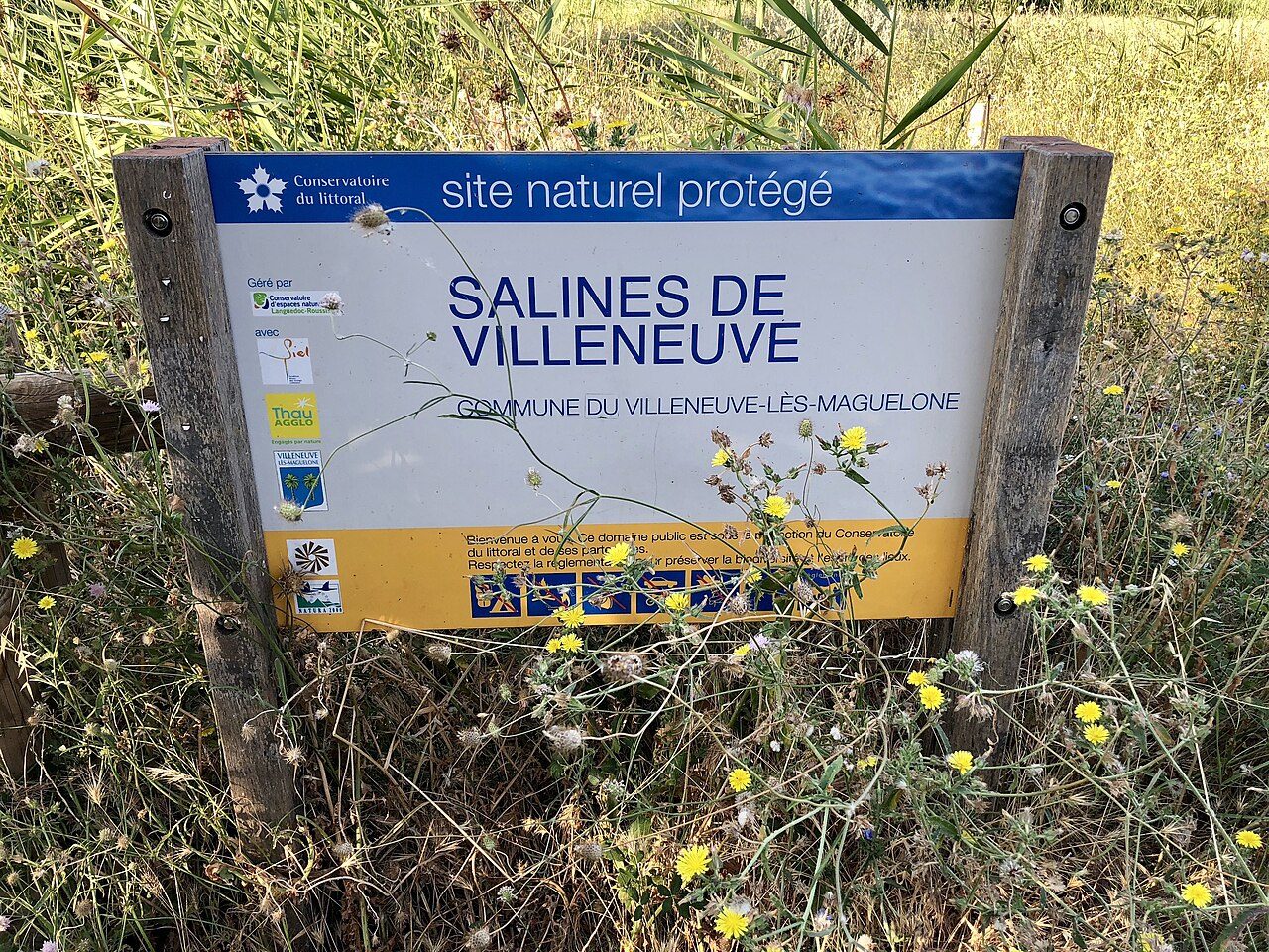 Le Site Naturel Protégé des Salines de Villeneuve à Villeneuve-lès-Maguelone