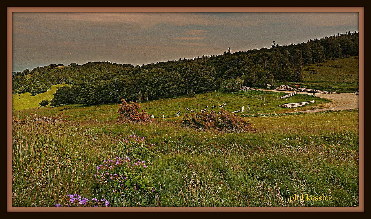 Le Petit Ballon - Vallée de Munster