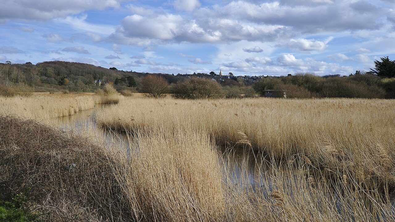 Marais du Quellen à Trébeurden