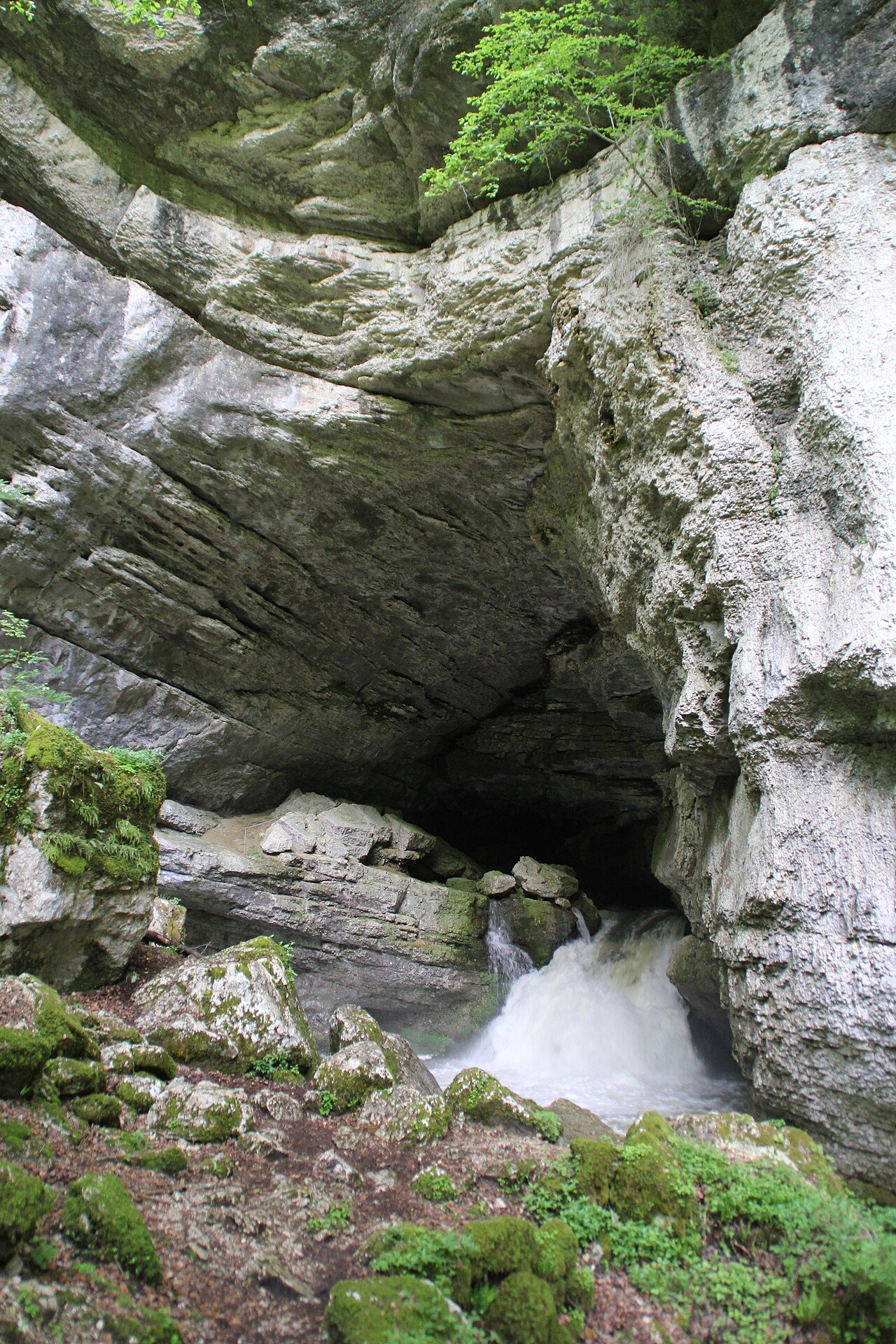 La source du Pontet