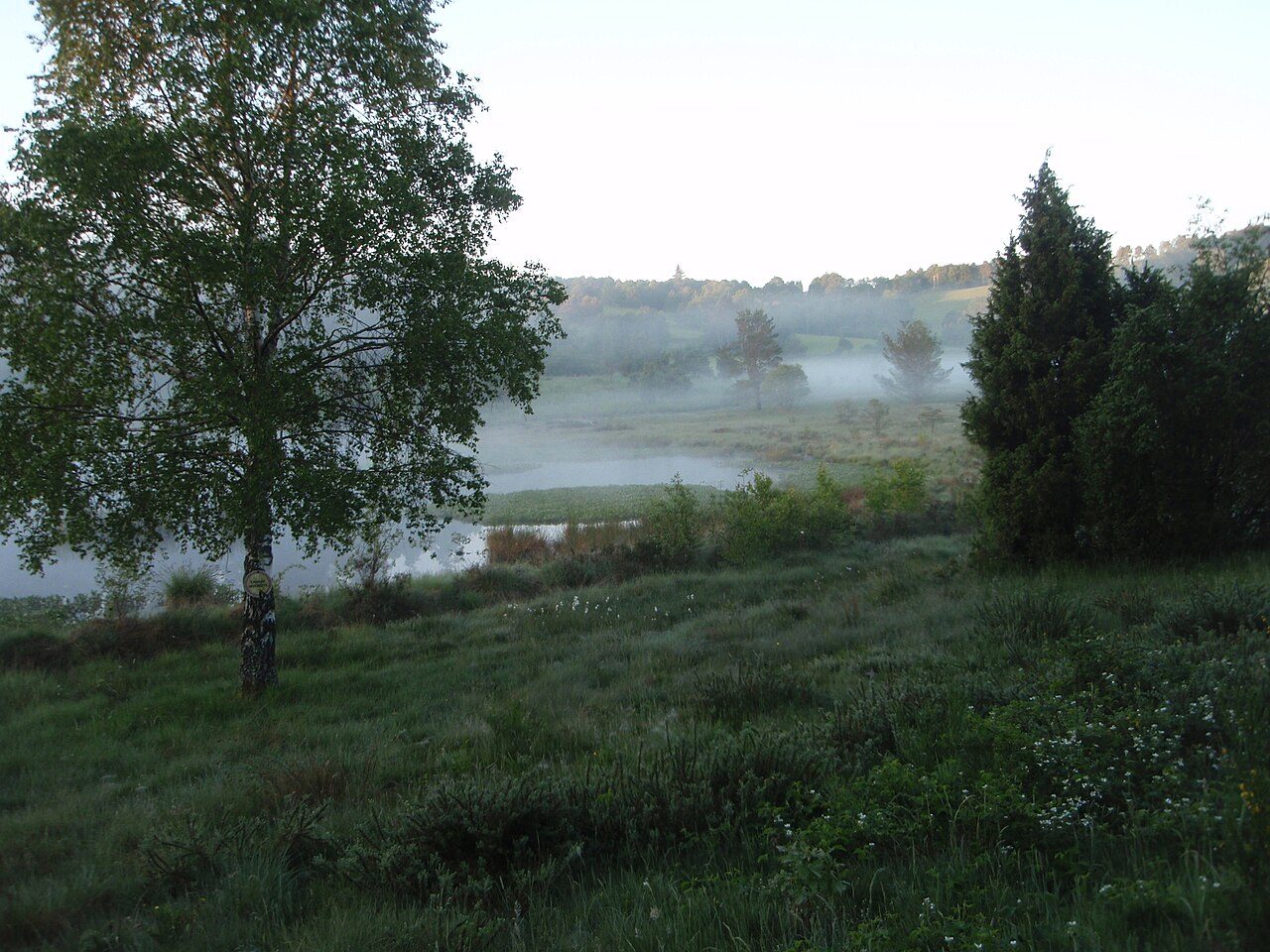 Tourbière d'Auzoux à Royère-de-Vassivière