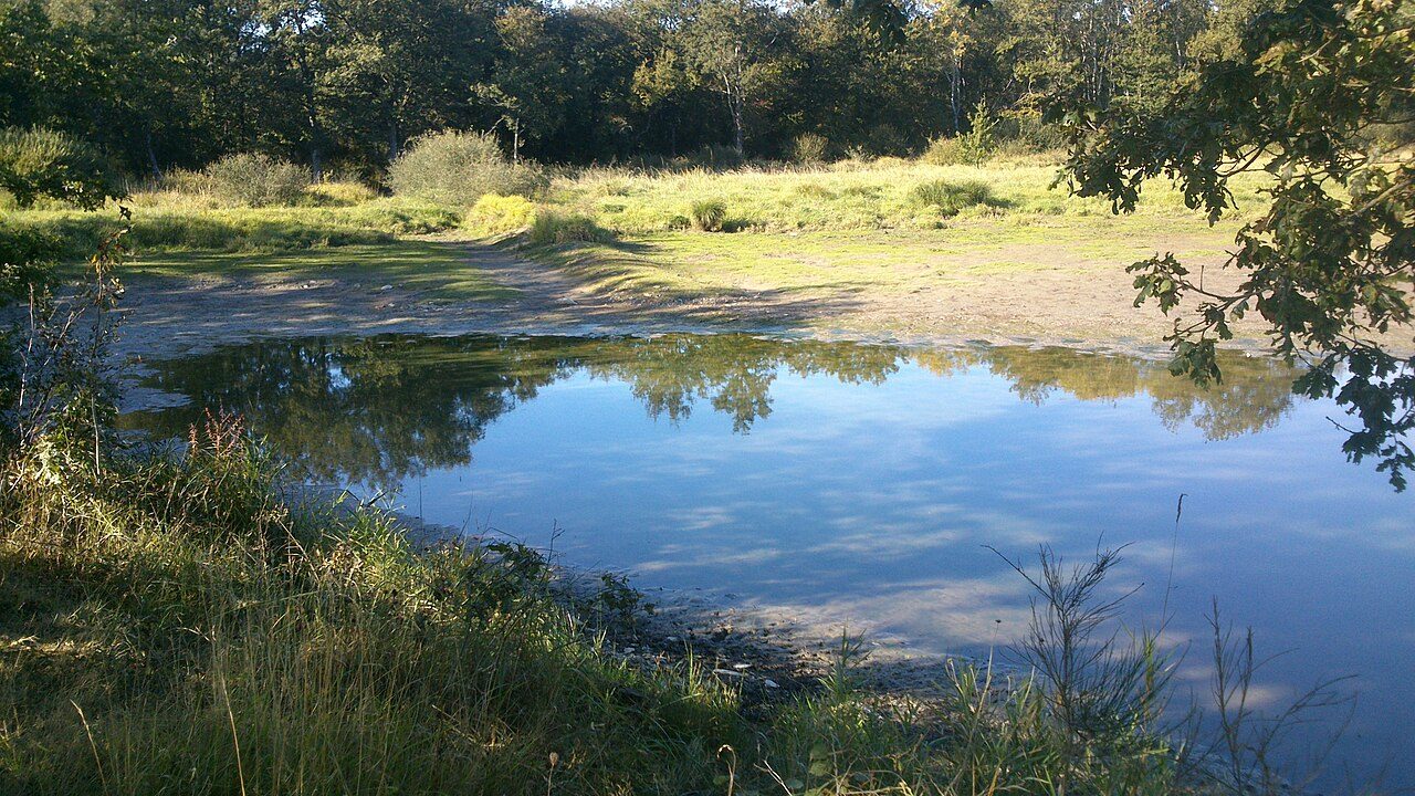 Etang de Péronne à Chanteloup-les-Bois