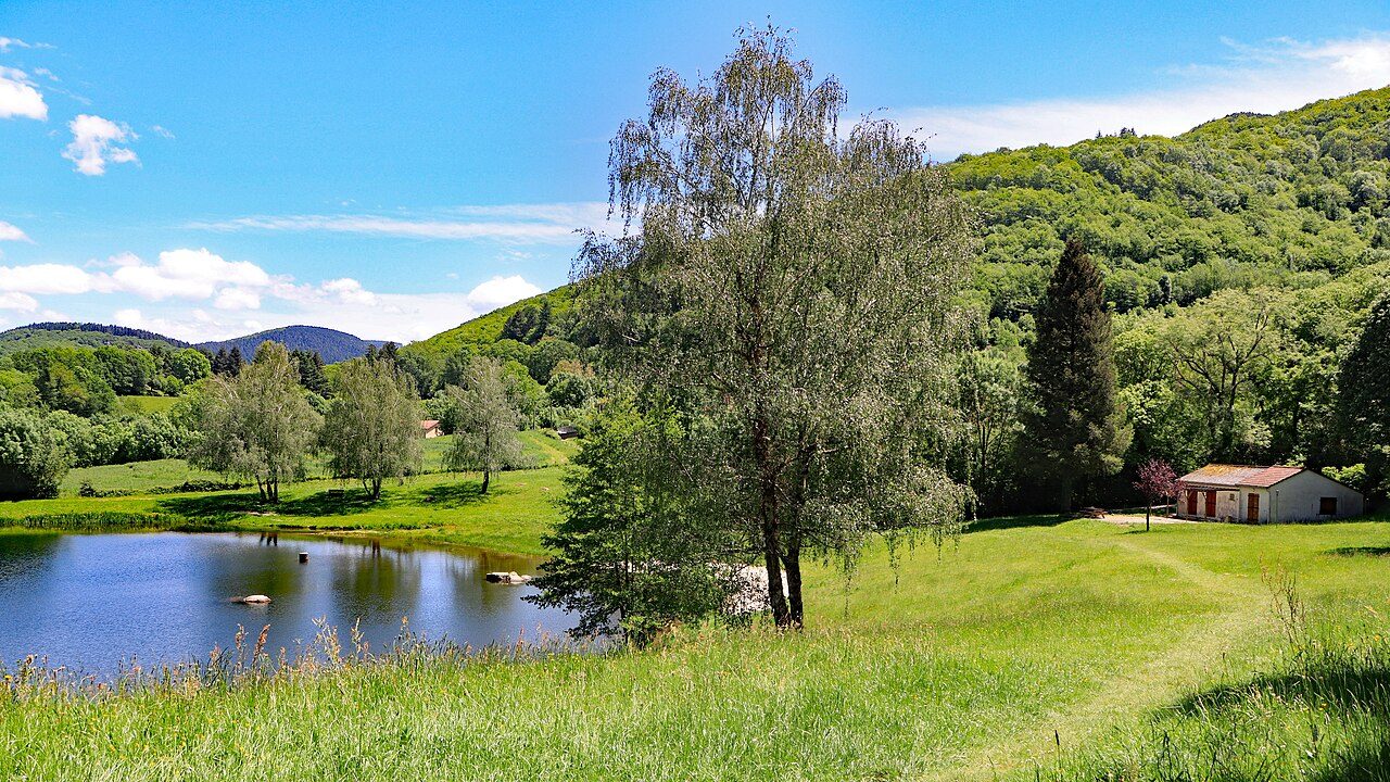 Lac d'Albine à Albine