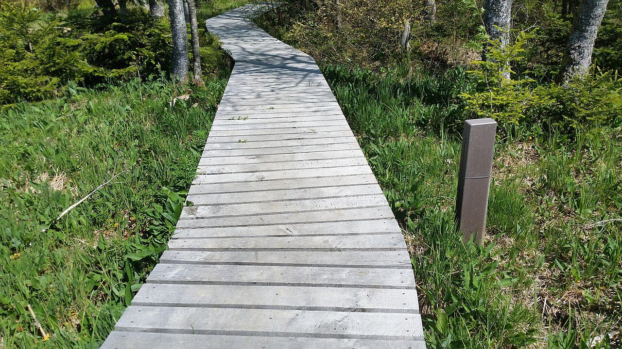 Réserve Naturelle Régionale des tourbières du bief du Nanchez