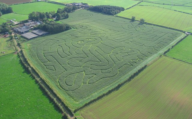 Labyrinthe de Maïs