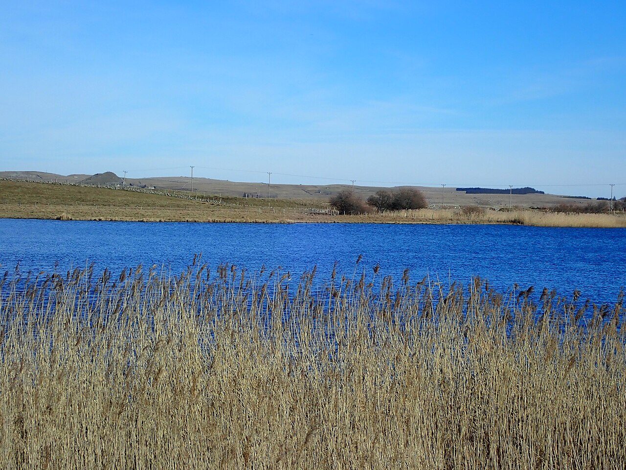 LAC DES SALHIENS à Nasbinals