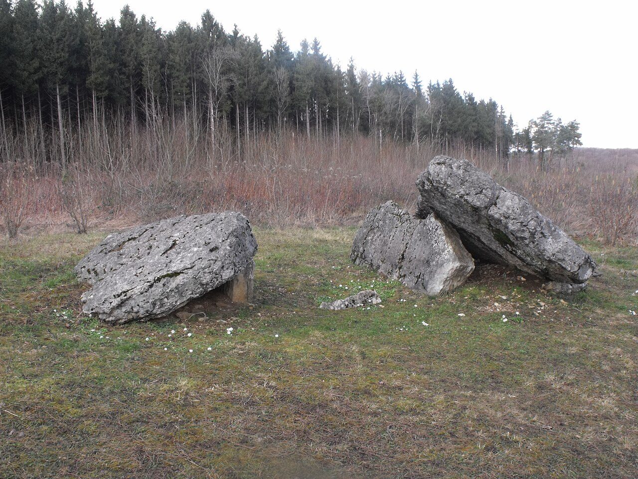 Dolmen de Santoche à Pays-de-Clerval