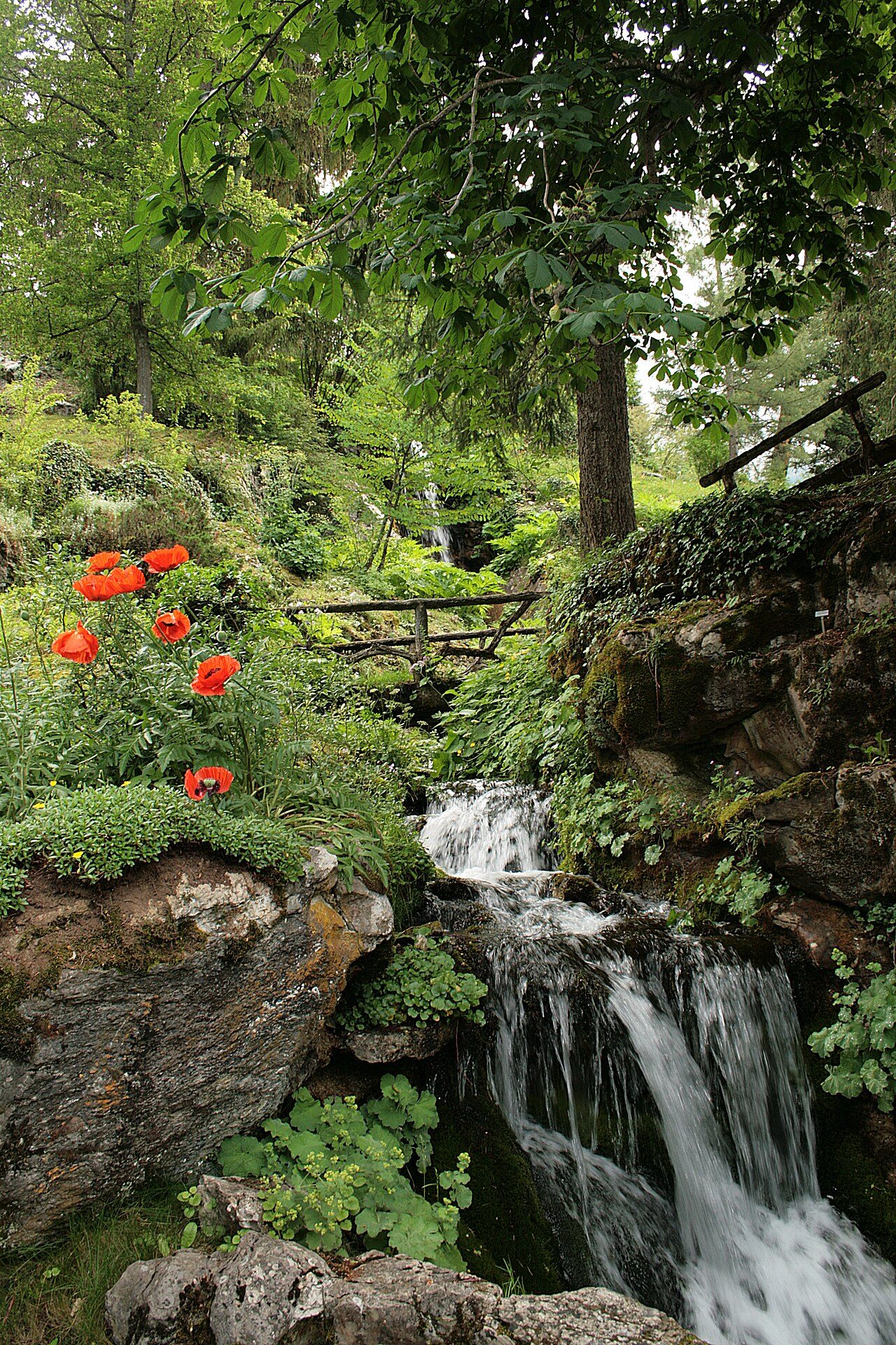Jardin botanique alpin La Jaÿsinia à Samoëns