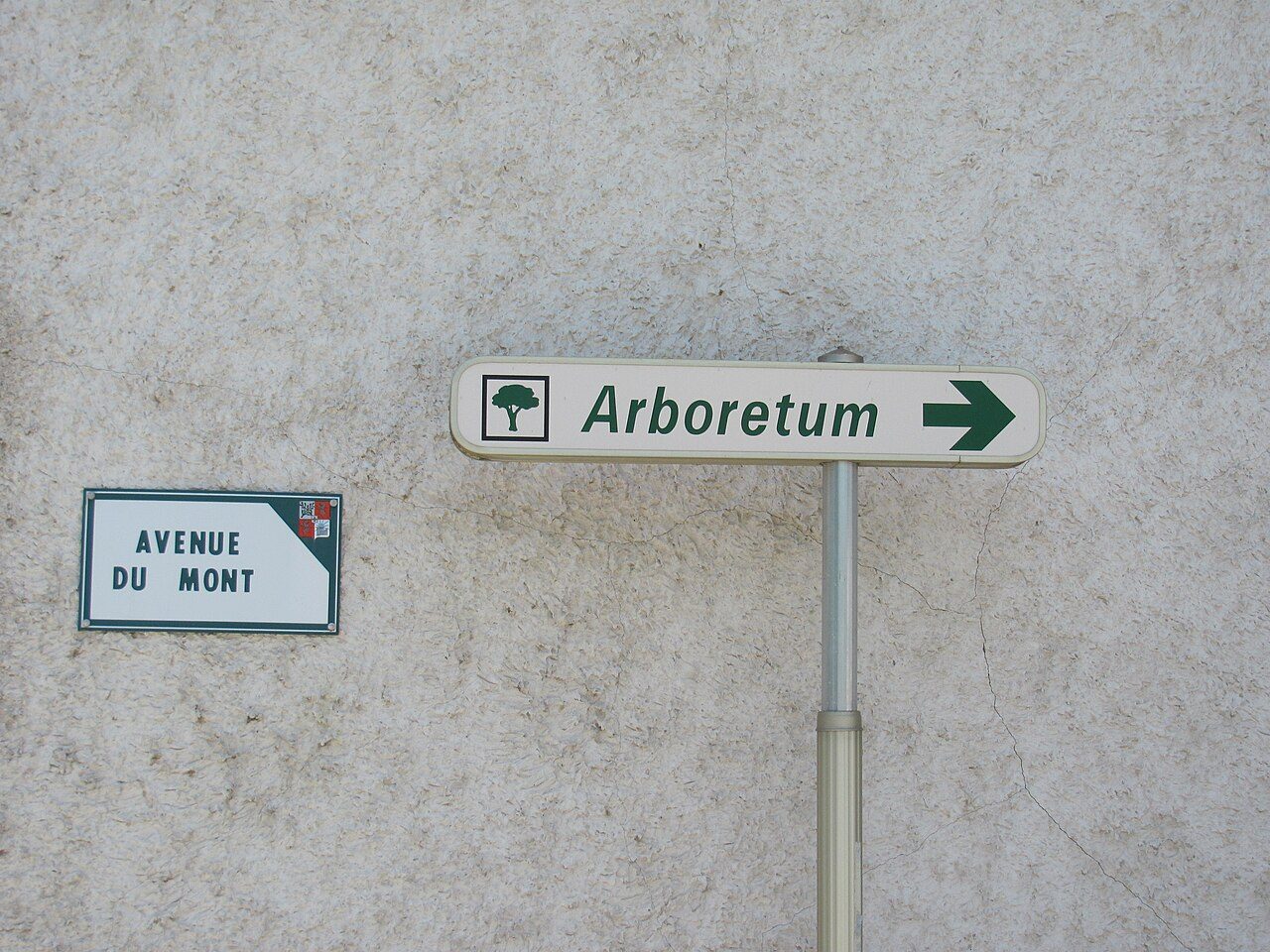 Des arbres de vie à l’arboretum de Beynost à Beynost