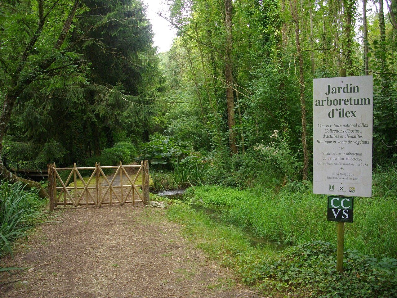 Jardin Arboretum d'Ilex à Meung-sur-Loire