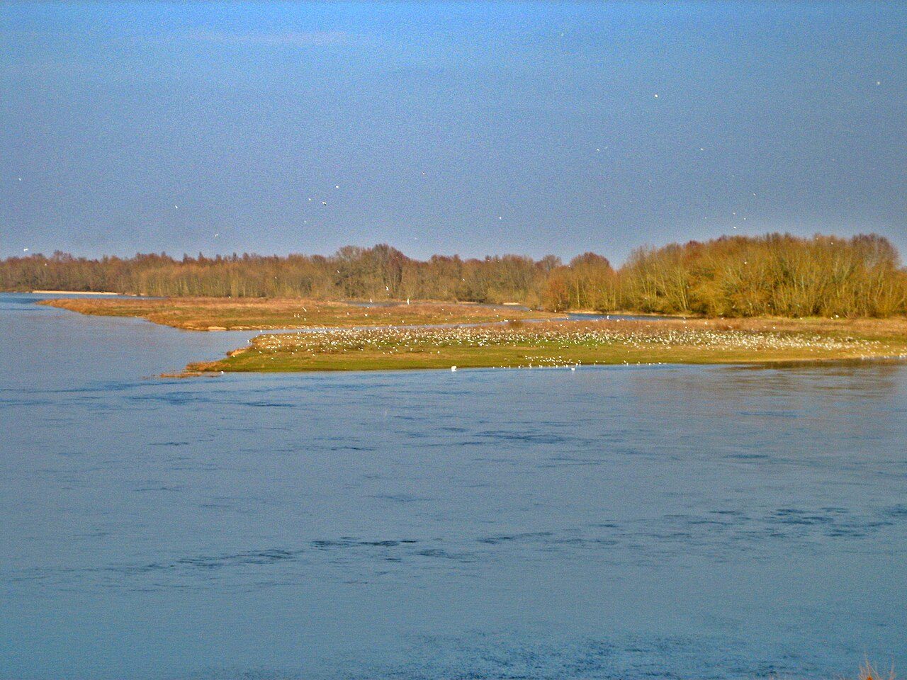 L'Ile aux oiseaux à Sandillon