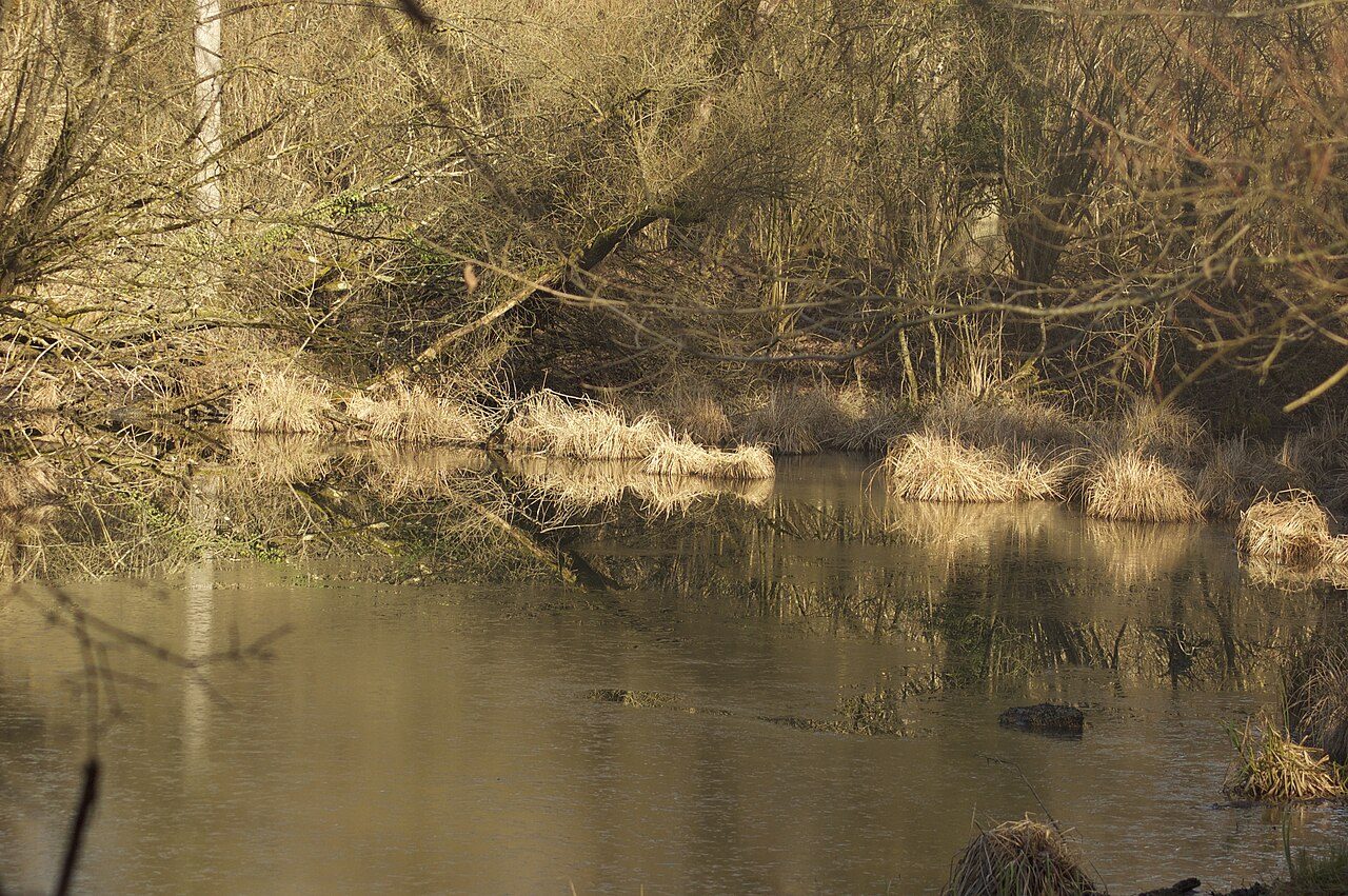 Polder