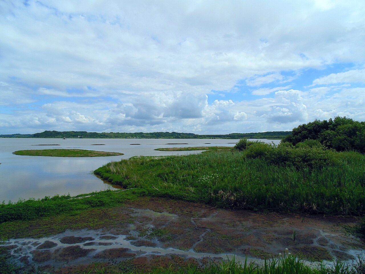 Réserve Naturelle du Marais d'Orx à Labenne