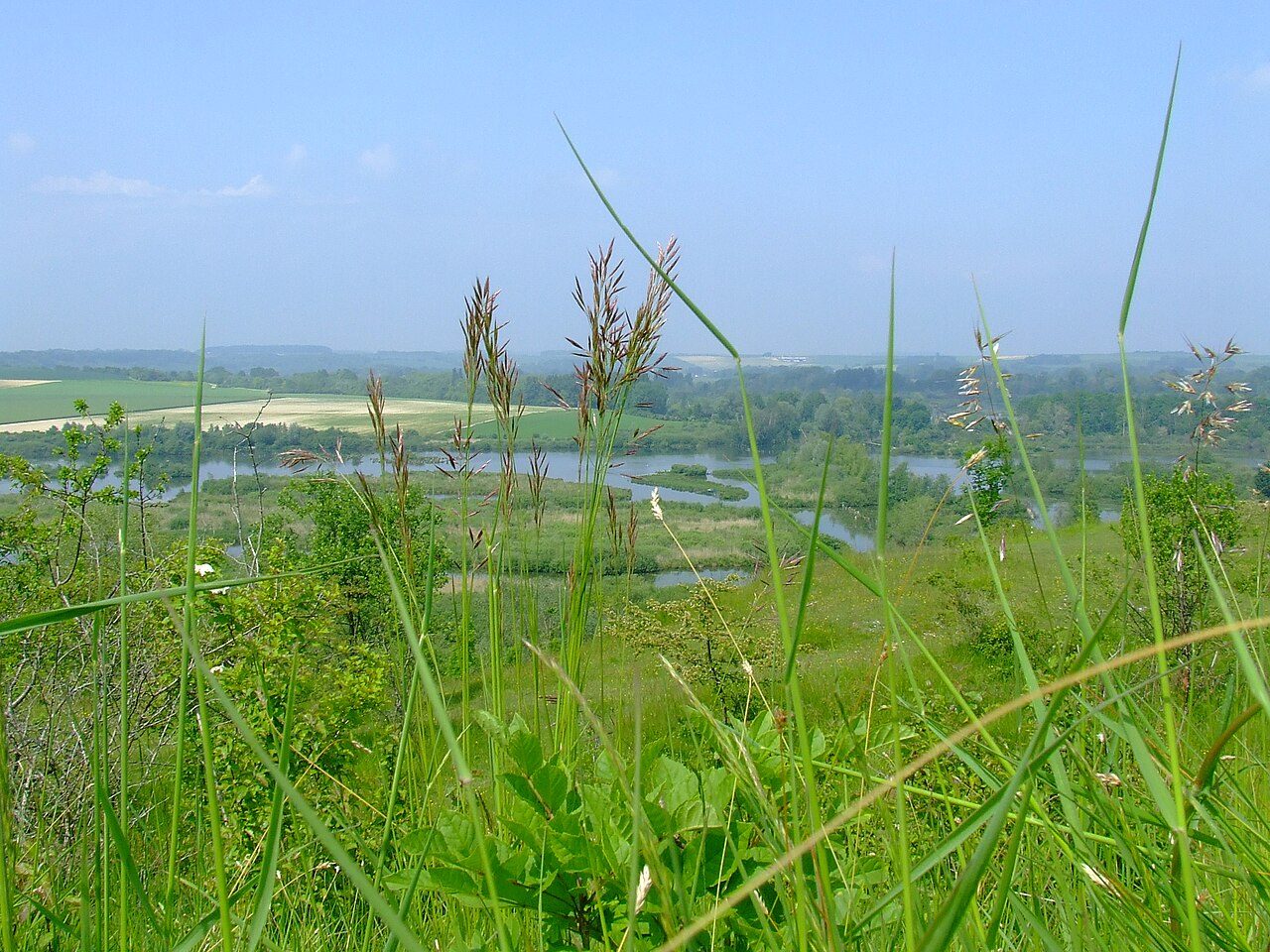 Belvédère de Frise