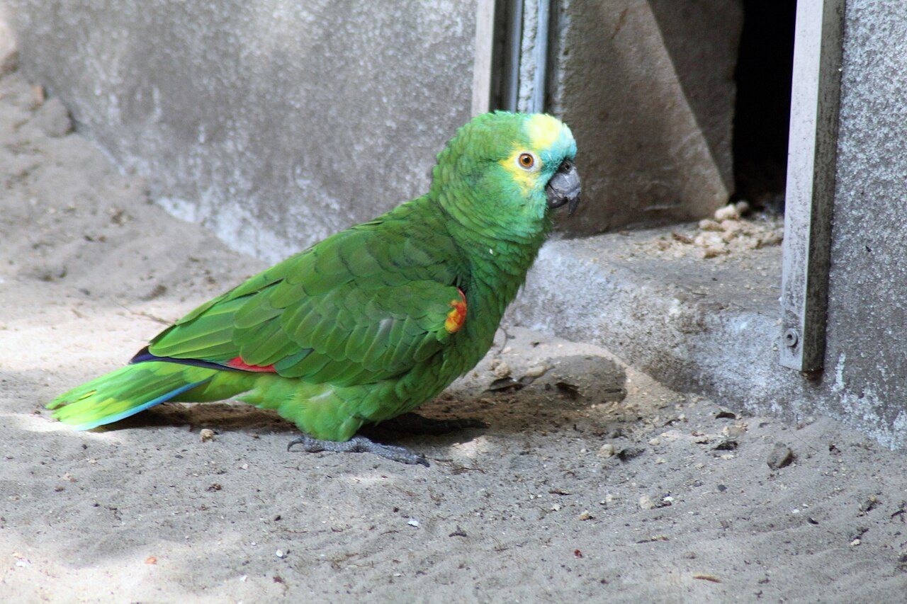 Zoo de Labenne à Labenne