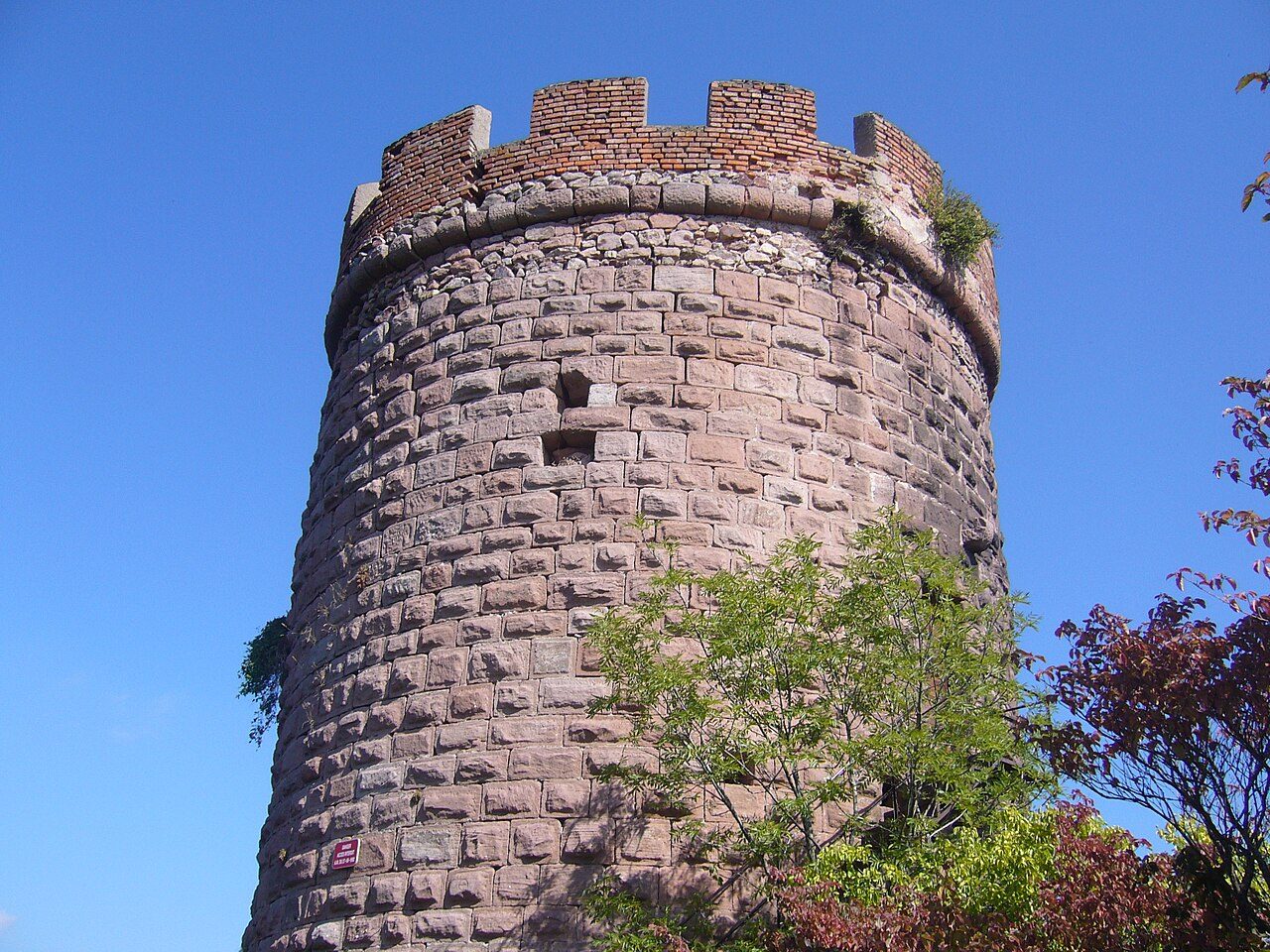 Château du Haut Ribeaupierre (ou Altenkastel)