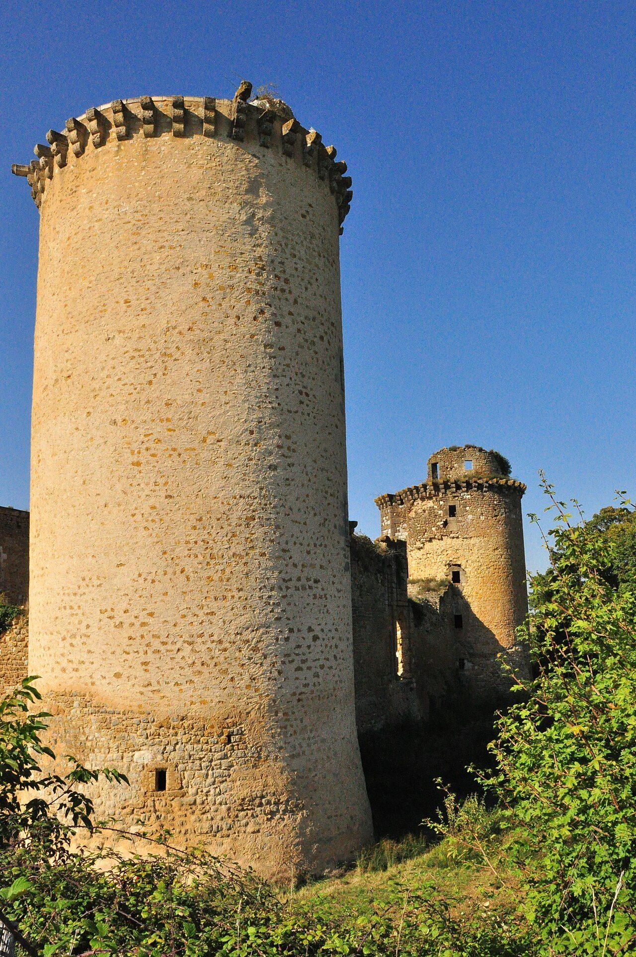 Château de la Prune au Pot à Ceaulmont