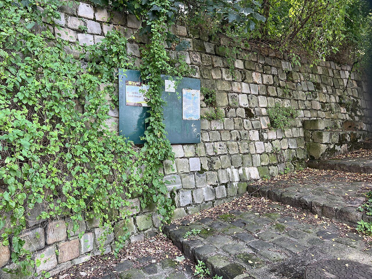 Jardin sauvage Saint Vincent à Paris
