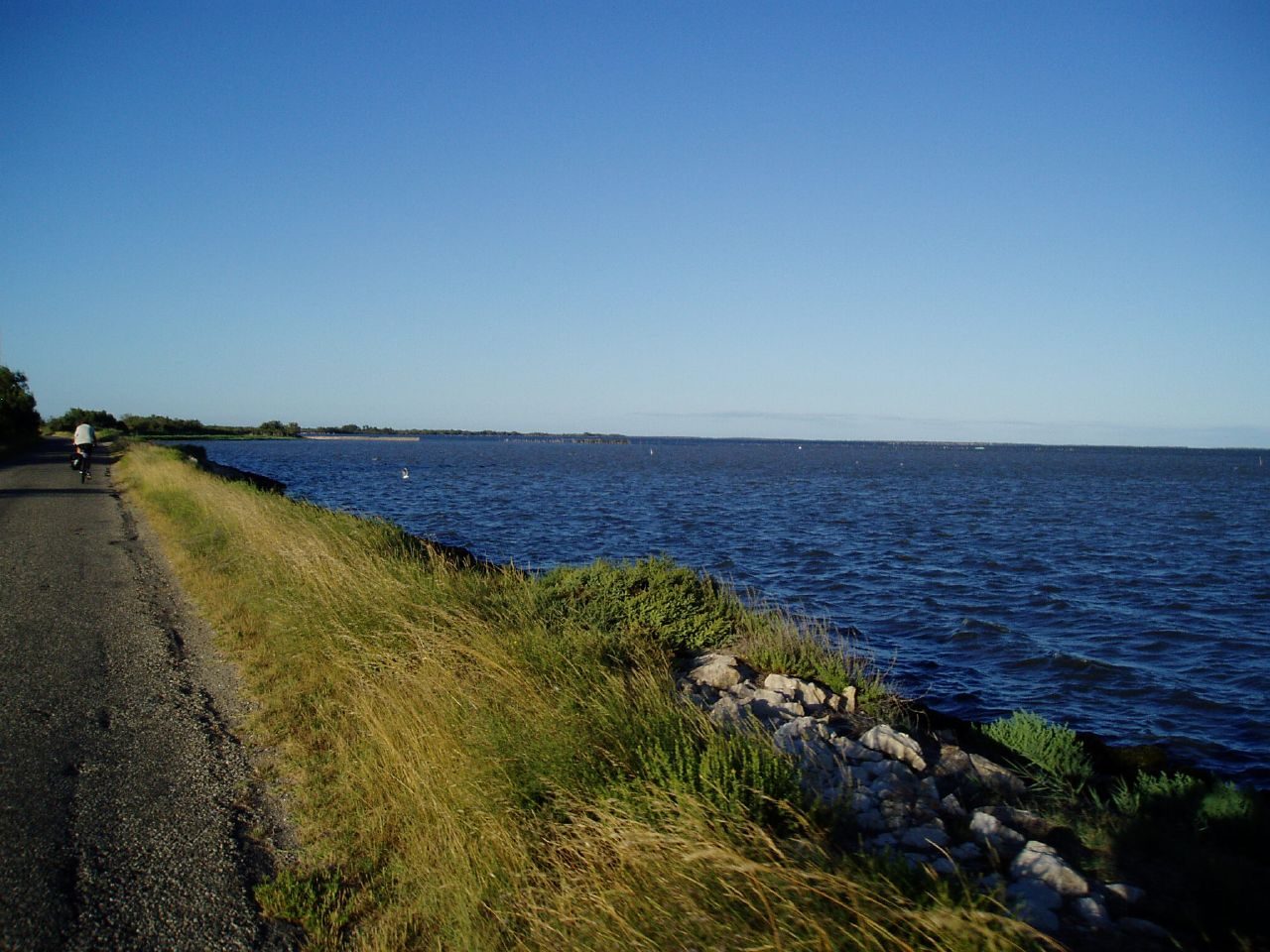 Etang de Vaccarès à Saintes-Maries-de-la-Mer