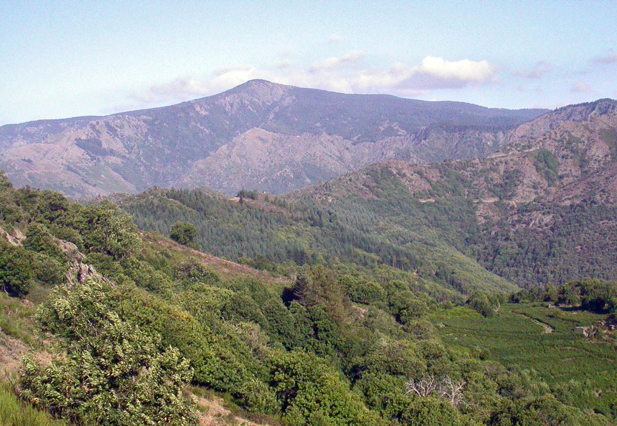 MONT AIGOUAL à Bassurels