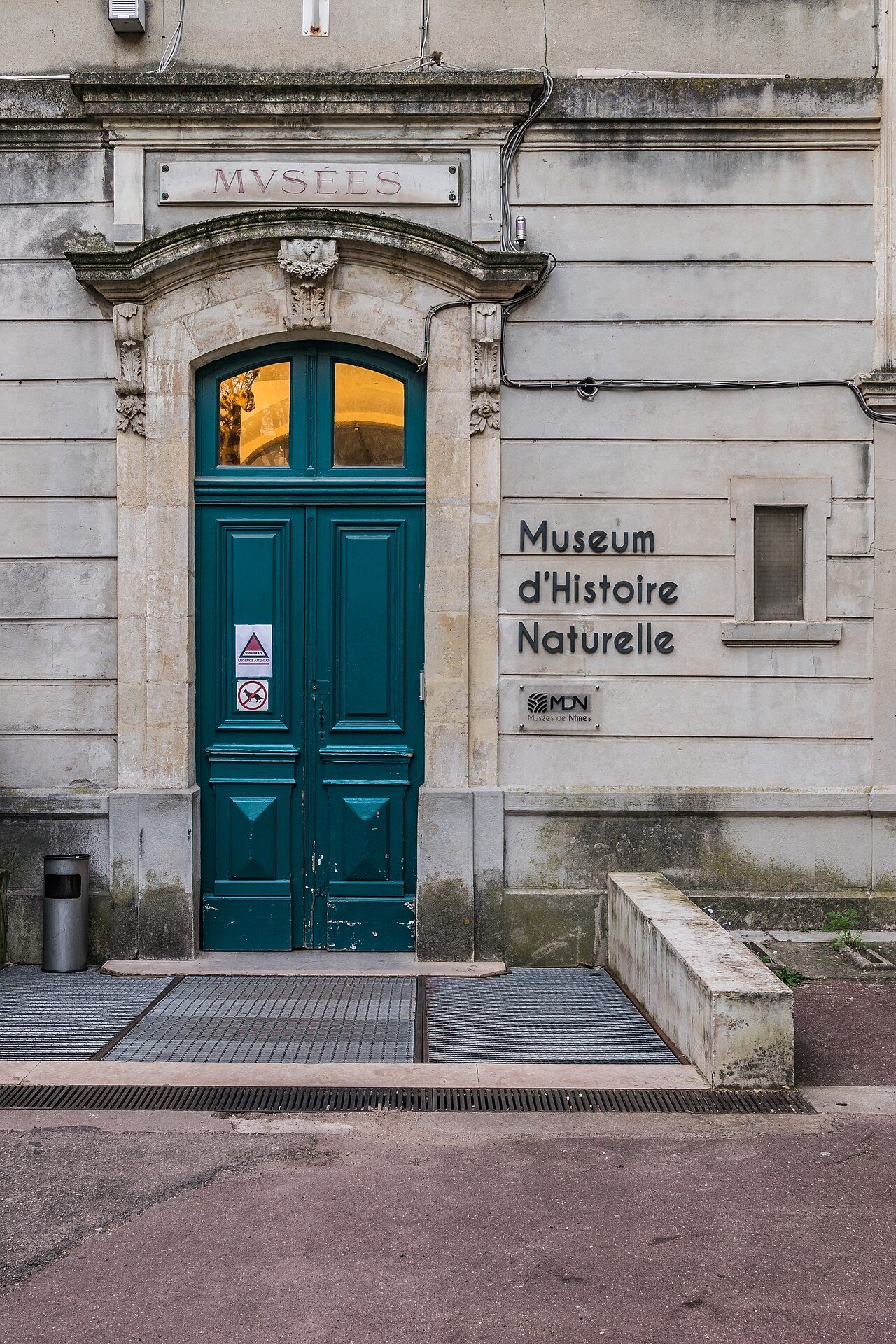 Musée d'Histoire Naturelle à Nîmes