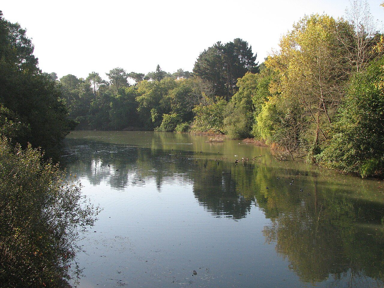Rives du Vincin à Vannes