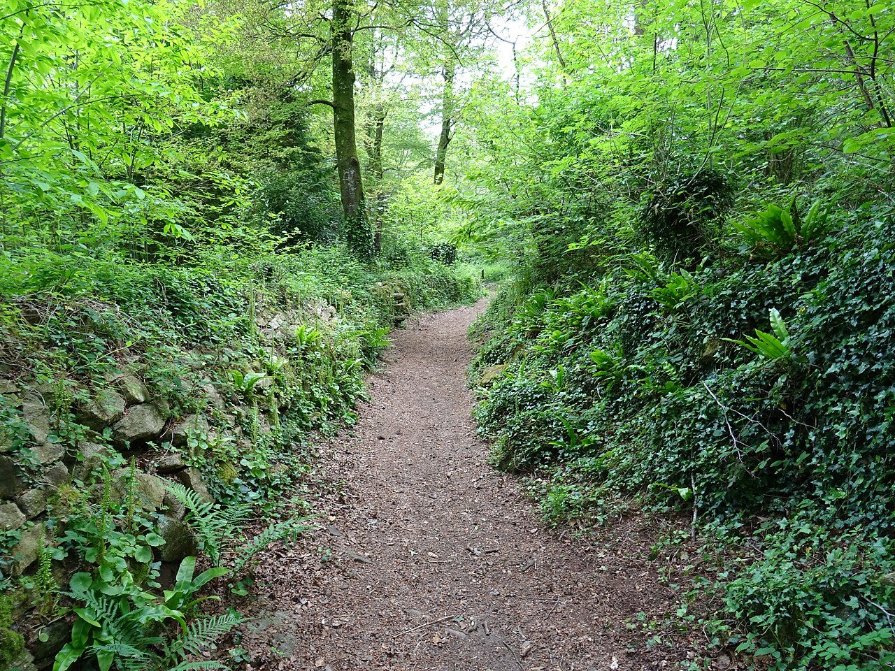 Sentier botanique de Lanrien à Landudec
