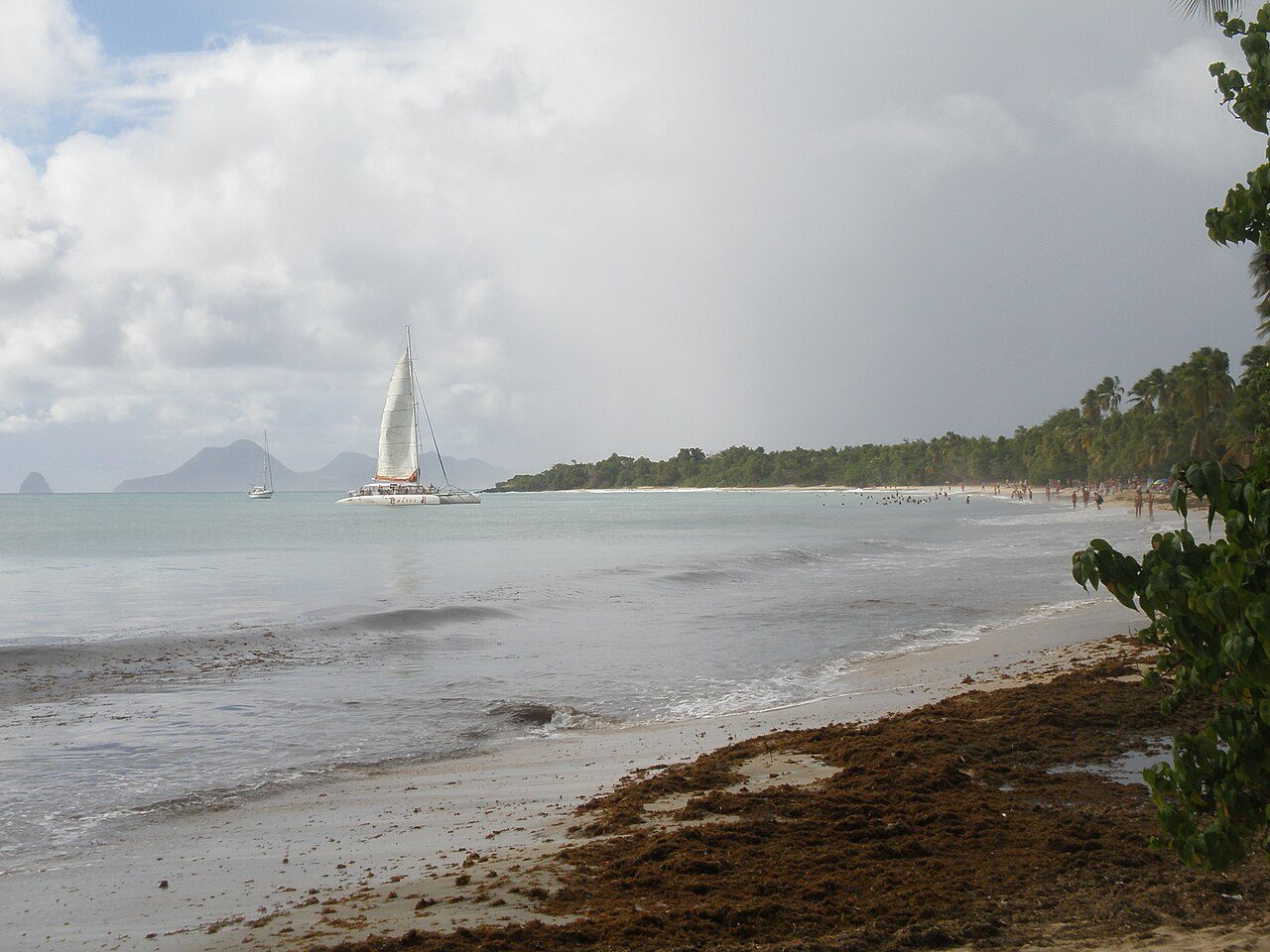 GRANDE ANSE DES SALINES à Sainte-Anne