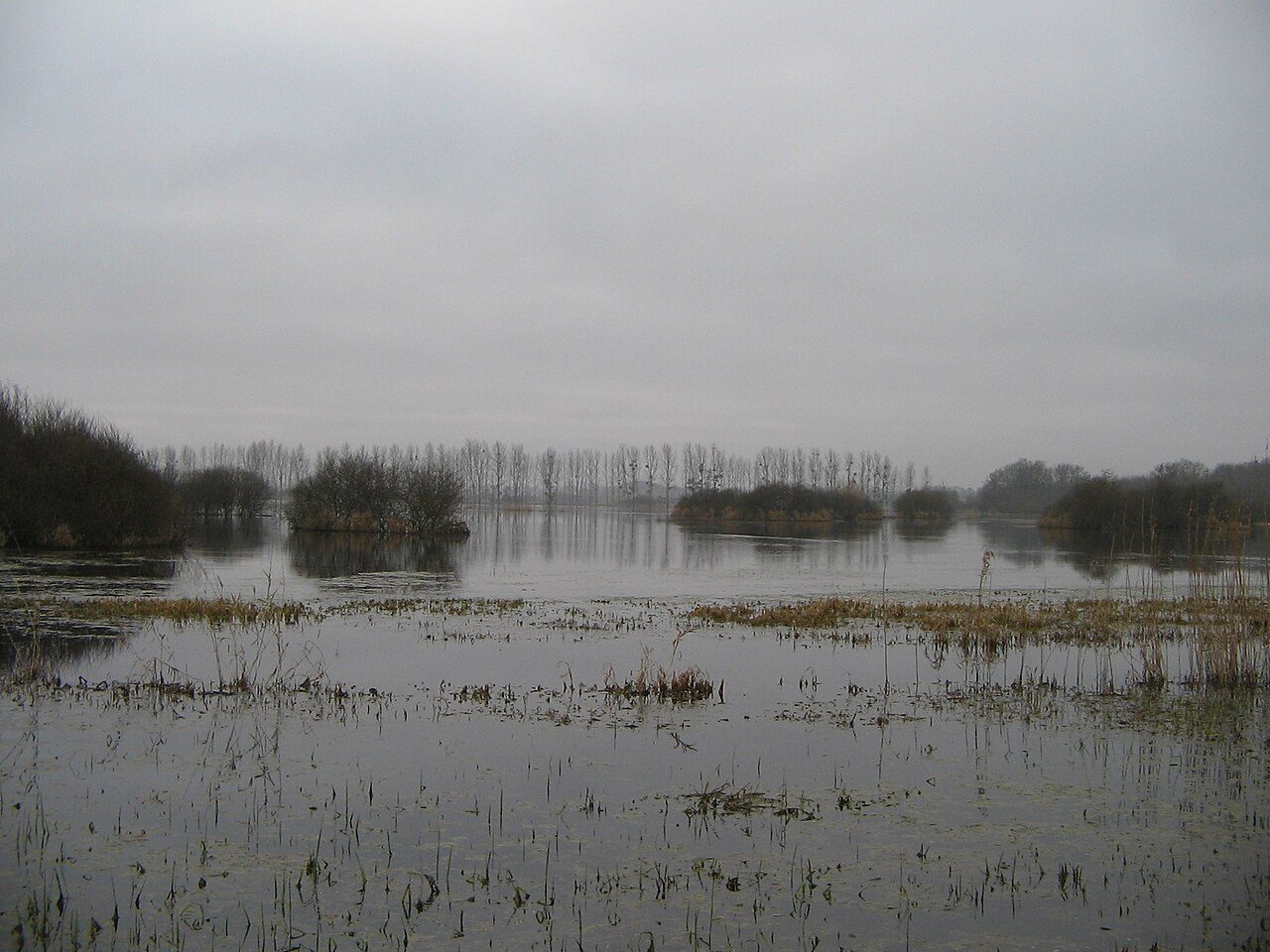 Les Marais de Goulaine, la Maison bleue à Haute-Goulaine