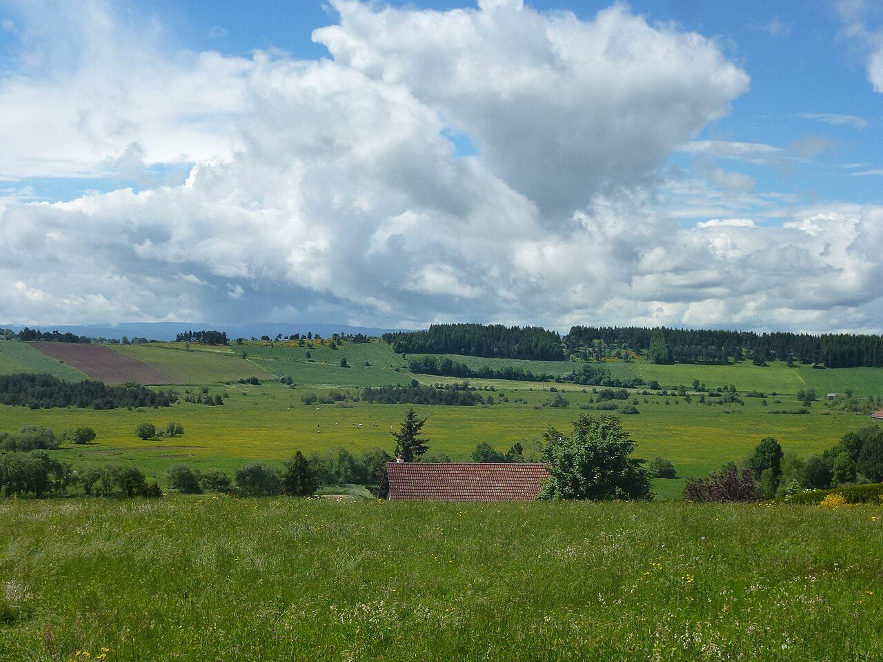 Les Narces de la Sauvetat à Landos