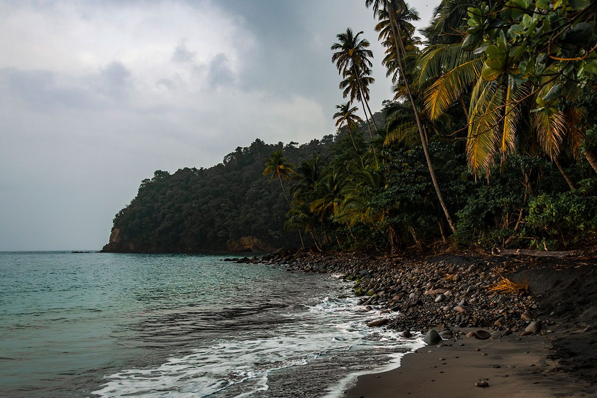 ANSE COULEUVRE à Le Prêcheur