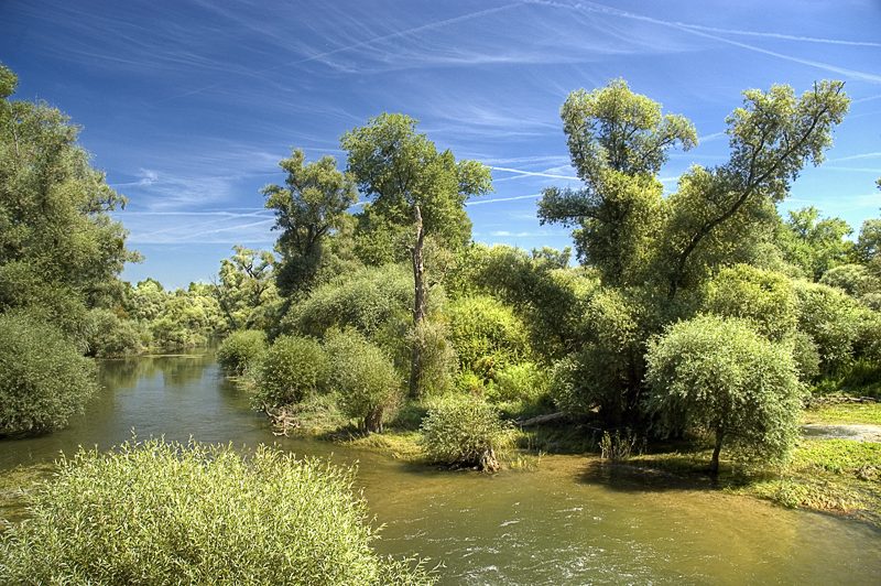 La Réserve Naturelle Delta de la Sauer