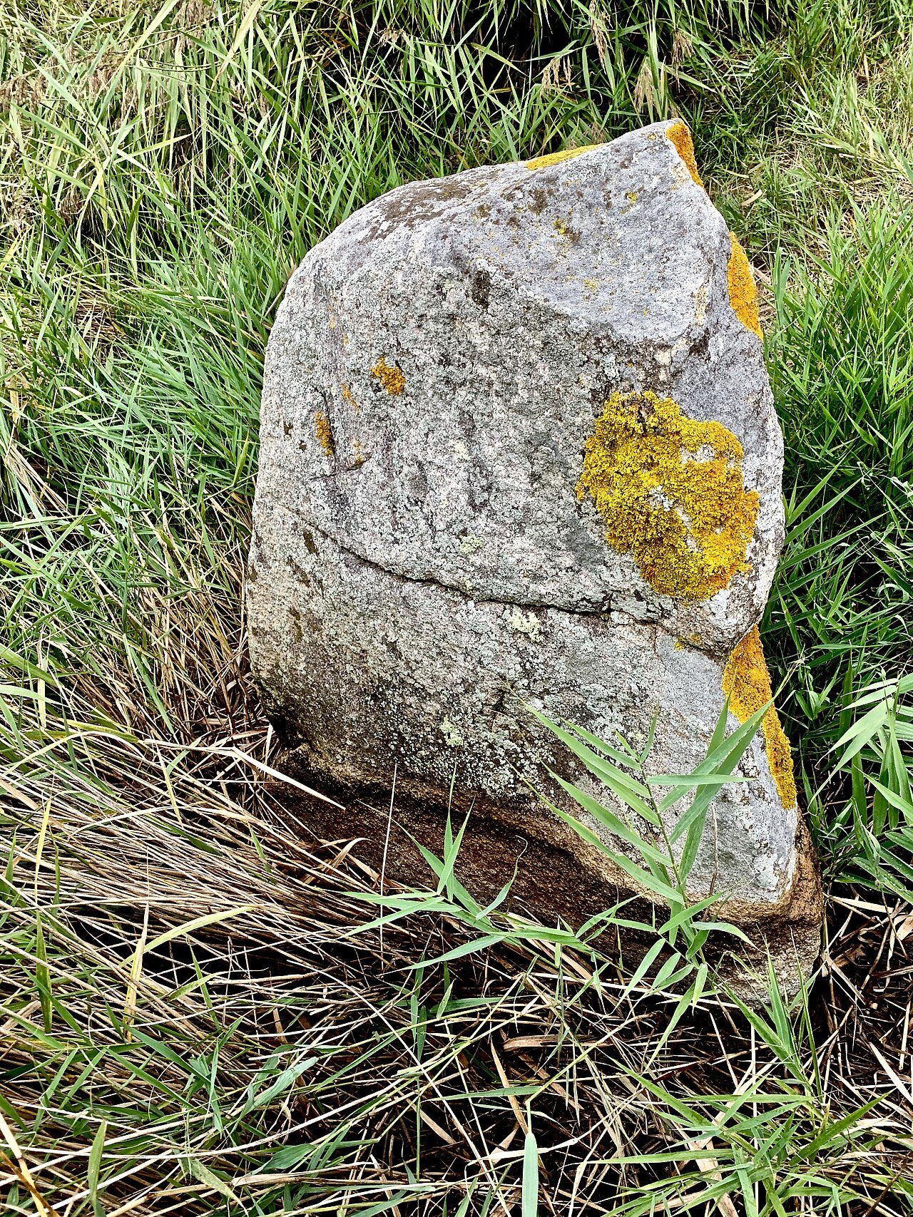 MENHIR LA PIERRE DE GARGANTUA à Saint-Brevin-les-Pins