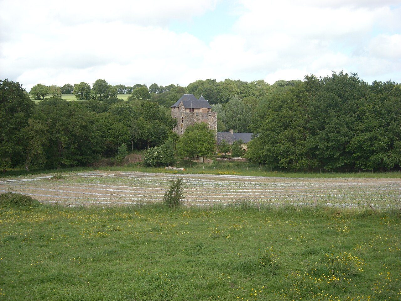 Château de la Boissière à La Boissière