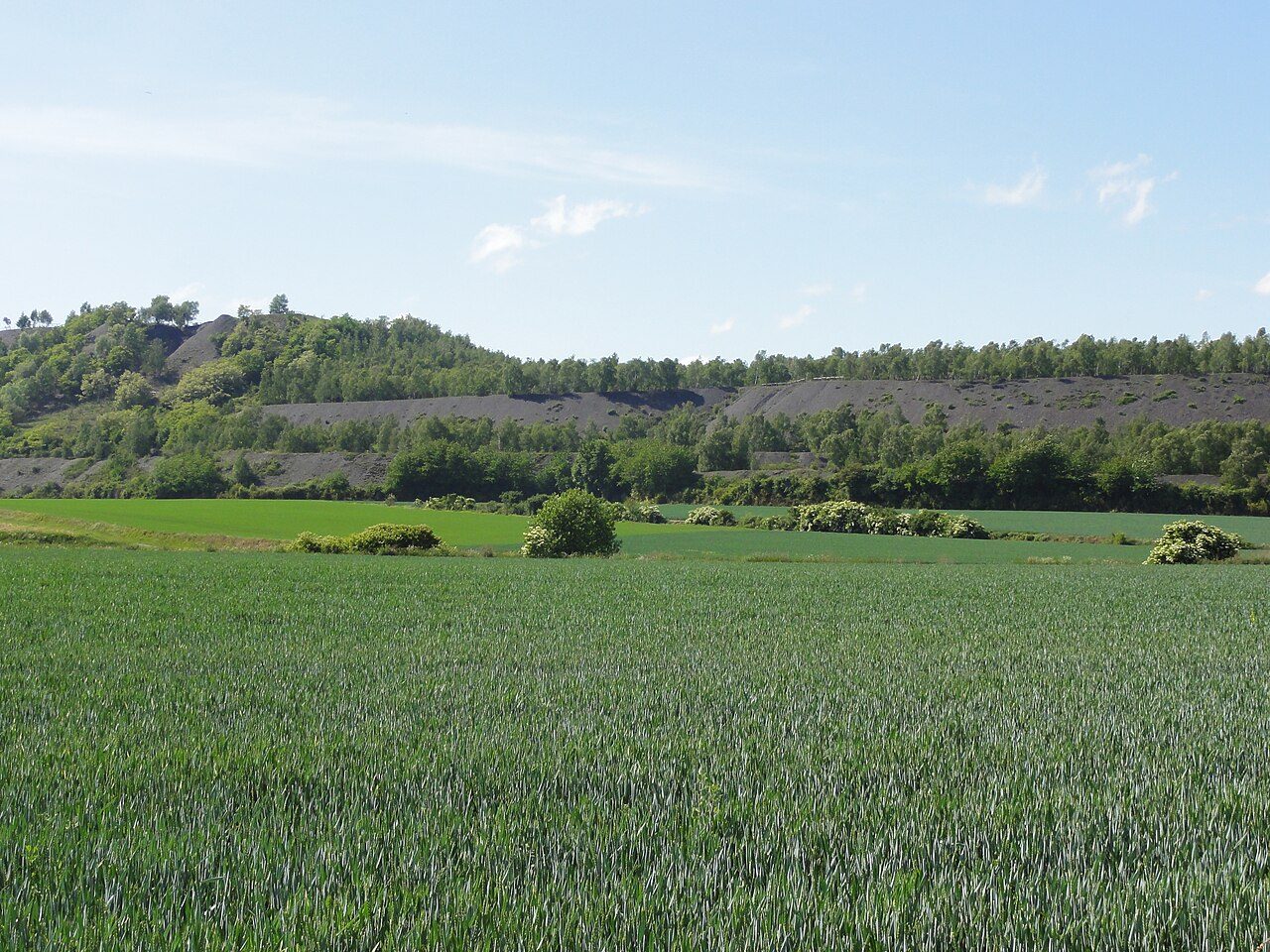 Le terril de Pinchonvalles à Liévin