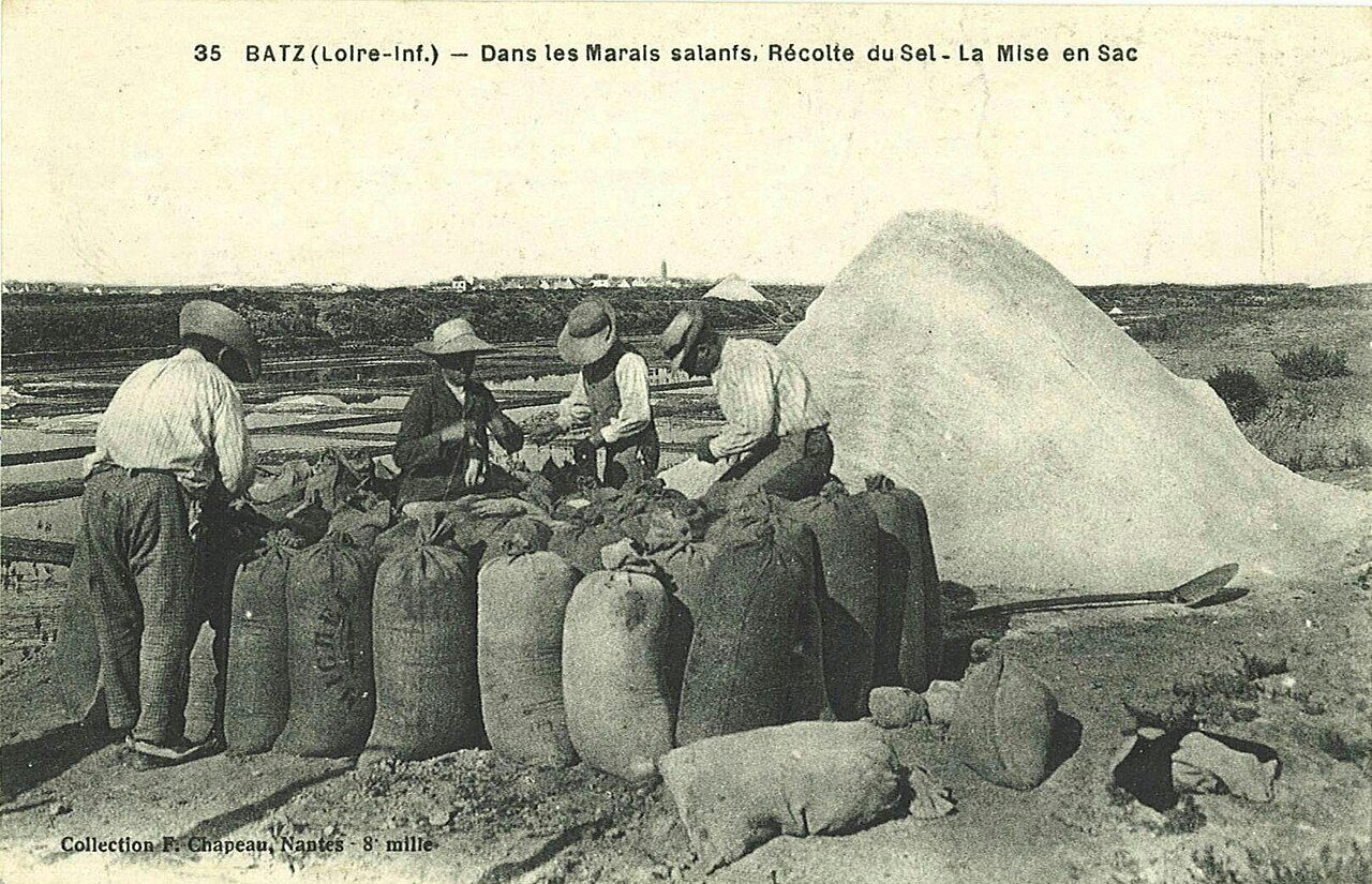 Les Marais Salants à Batz-sur-Mer