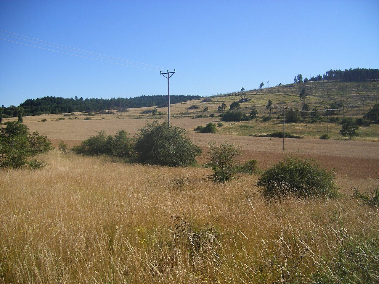 CAUSSE DE SAUVETERRE à Chanac