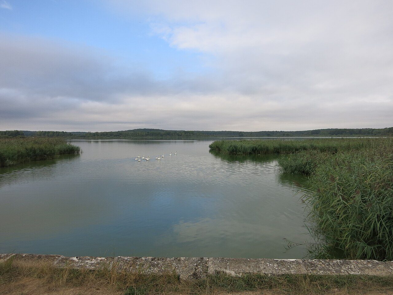 Etangs de Belval en Argonne
