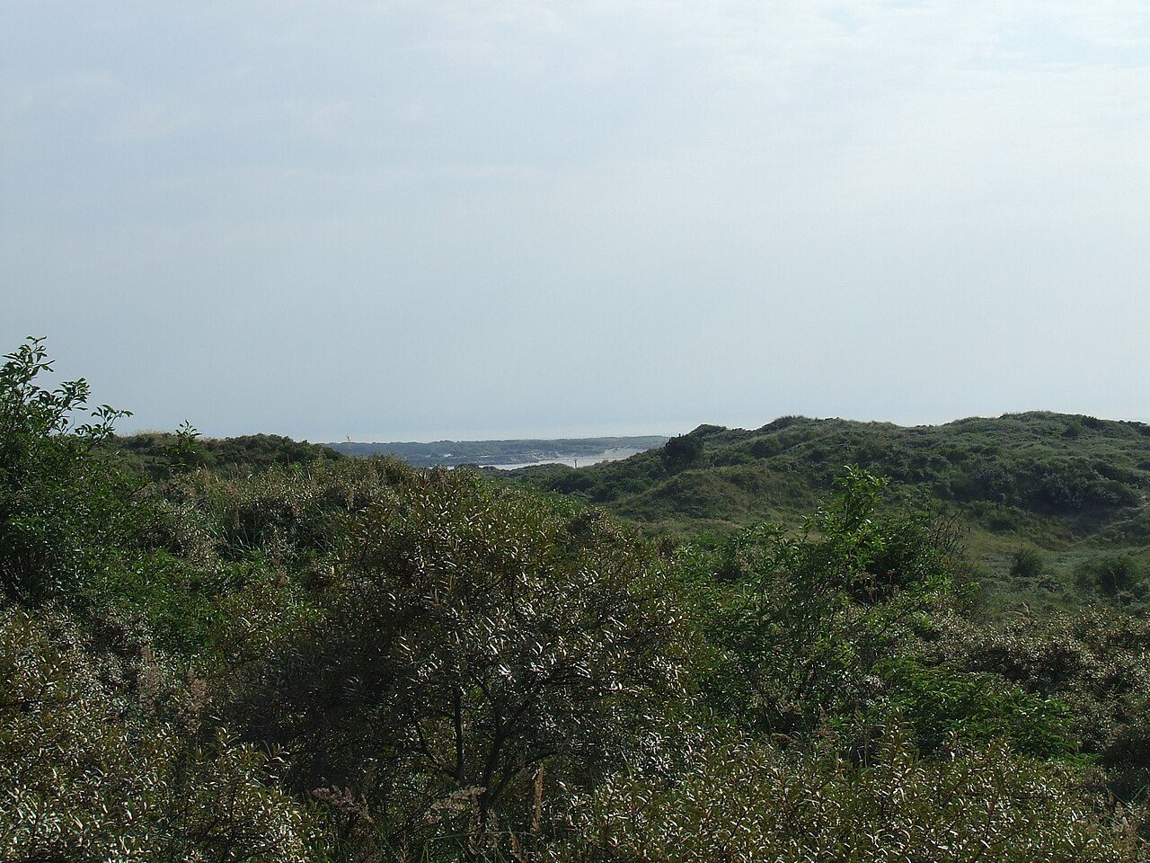 RESERVE NATURELLE NATIONALE DE LA BAIE DE CANCHE à Camiers