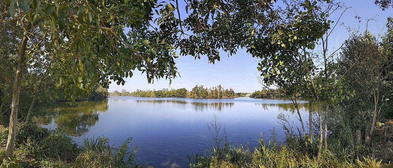 L'étang de la Sablière à L'Île-d'Elle
