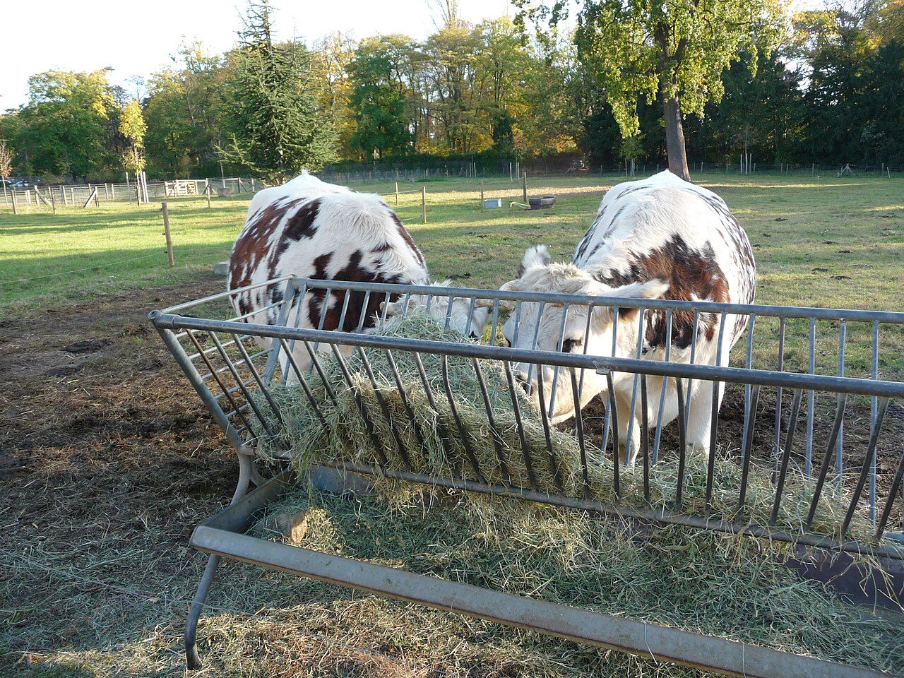Ferme de Paris à Paris