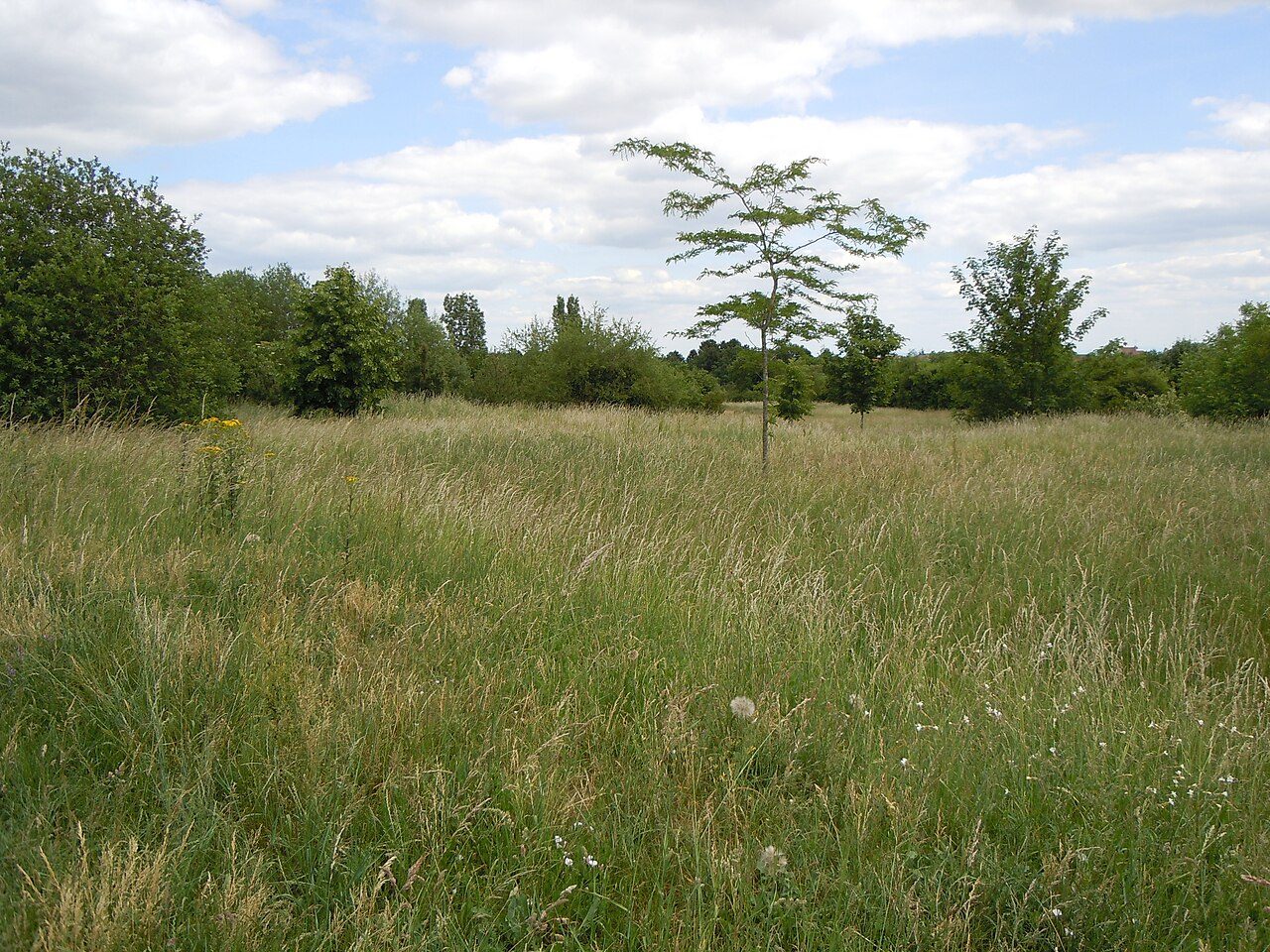Parc de la Combe Persil