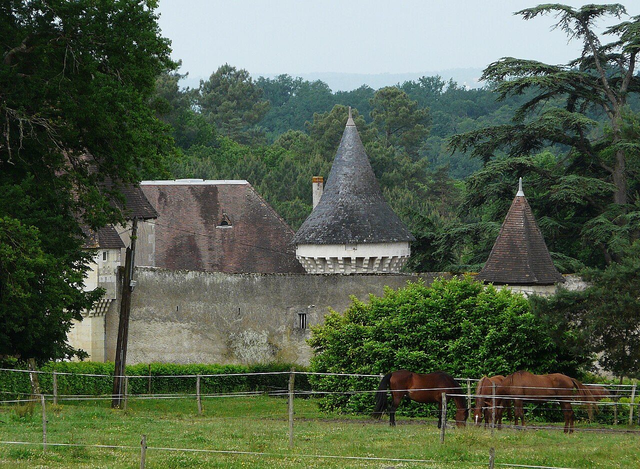 Château de Borie-Petit à Champcevinel