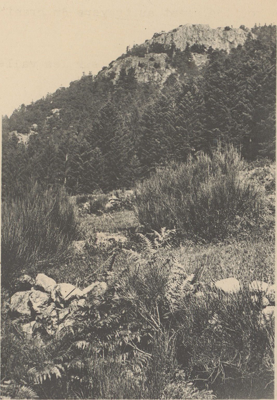 La Roche des Ducs