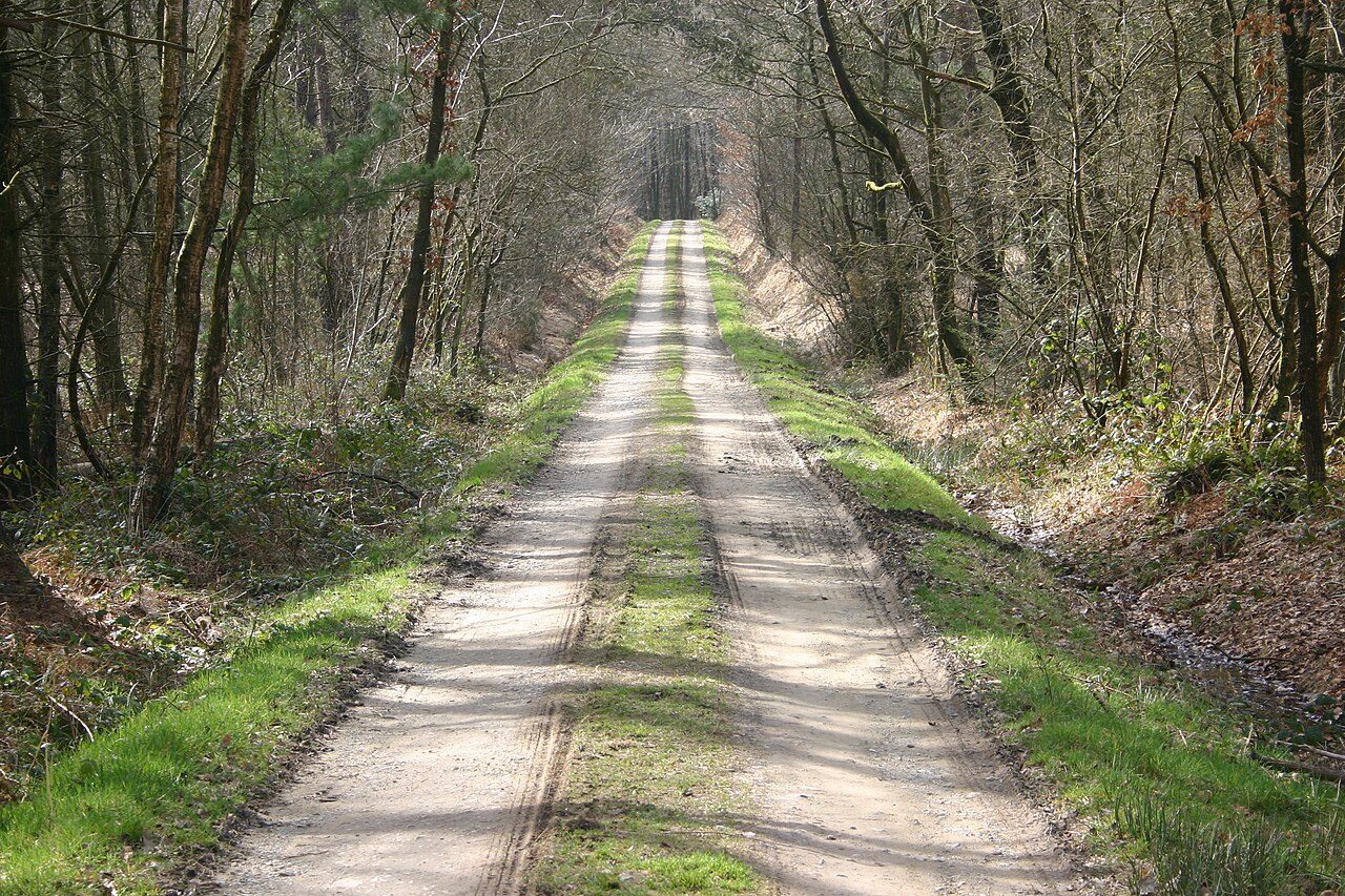 Forêt de Loudéac à Loudéac