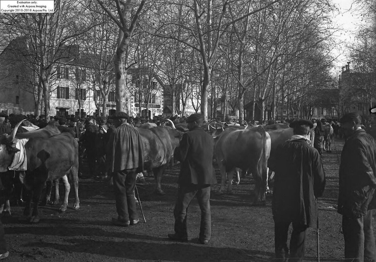 Le Foirail à Pau